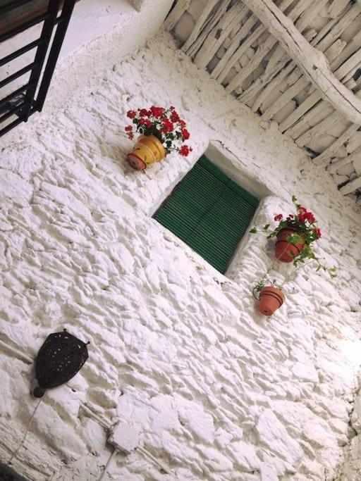 La Casa Rural De Paco Y Ana Pitres エクステリア 写真