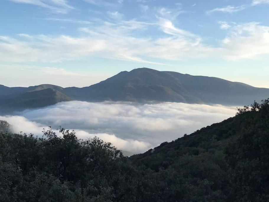La Casa Rural De Paco Y Ana Pitres エクステリア 写真