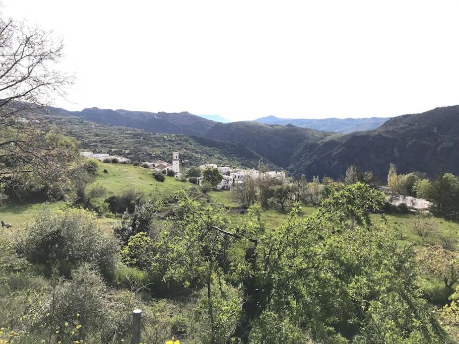La Casa Rural De Paco Y Ana Pitres エクステリア 写真