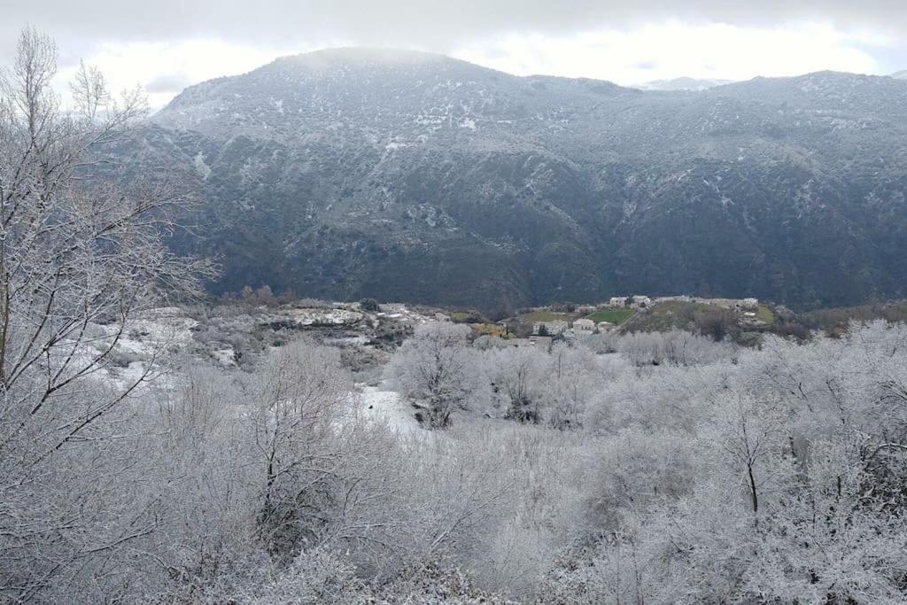 La Casa Rural De Paco Y Ana Pitres エクステリア 写真