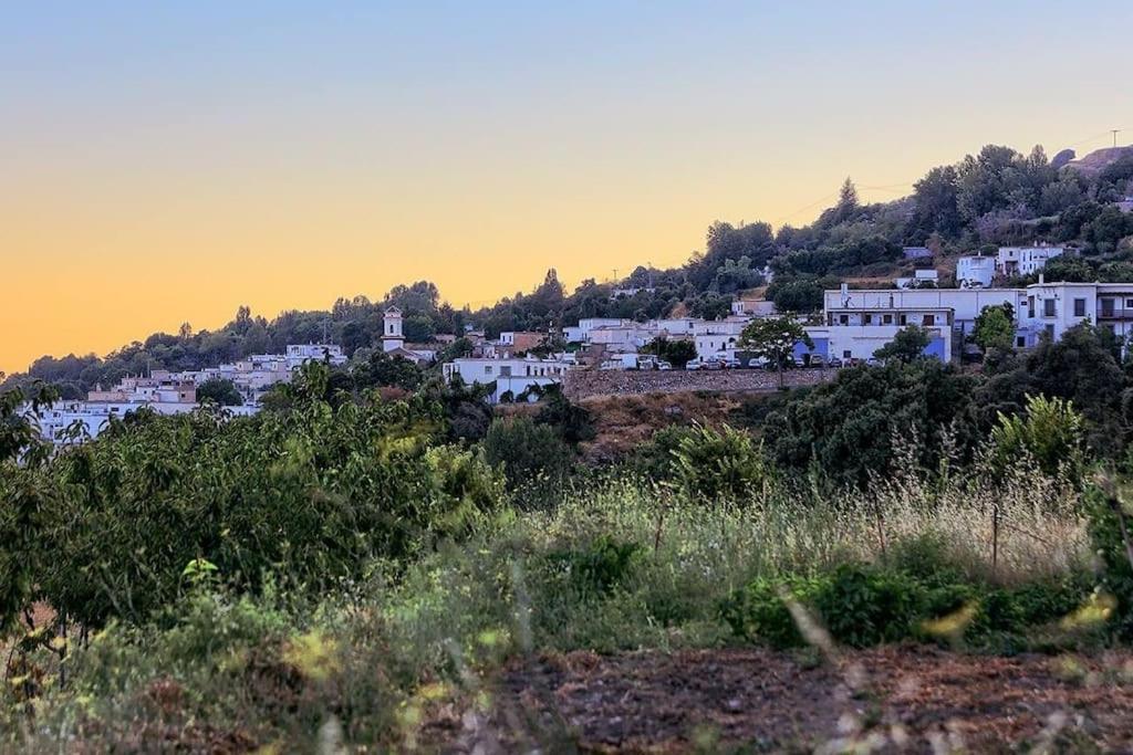 La Casa Rural De Paco Y Ana Pitres エクステリア 写真