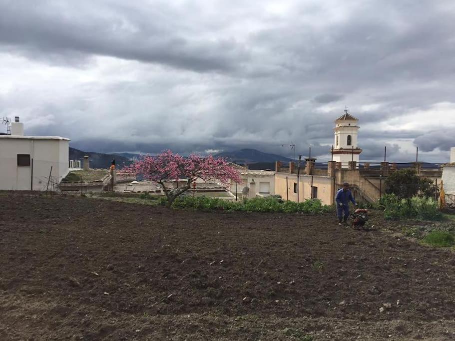 La Casa Rural De Paco Y Ana Pitres エクステリア 写真