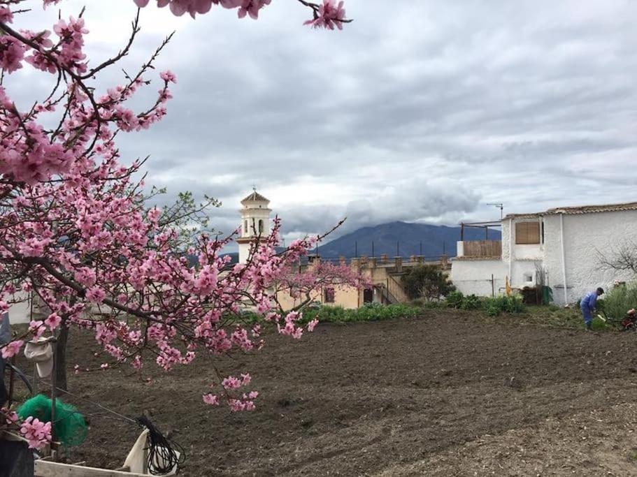 La Casa Rural De Paco Y Ana Pitres エクステリア 写真