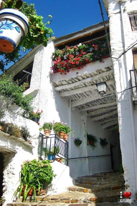 La Casa Rural De Paco Y Ana Pitres エクステリア 写真