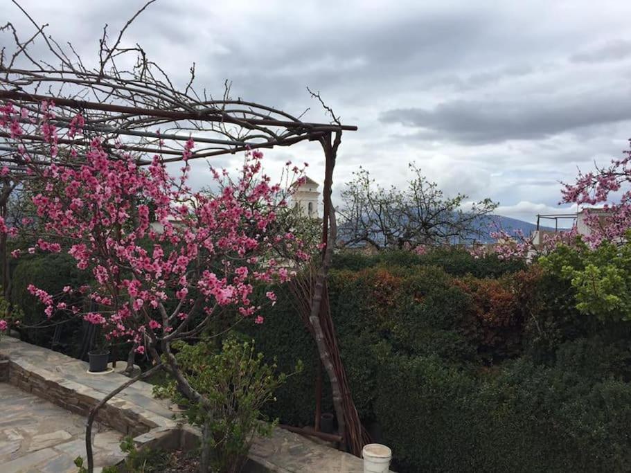 La Casa Rural De Paco Y Ana Pitres エクステリア 写真