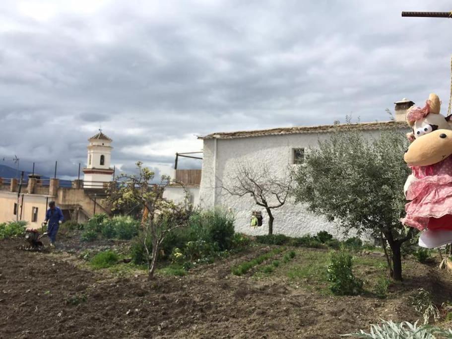La Casa Rural De Paco Y Ana Pitres エクステリア 写真