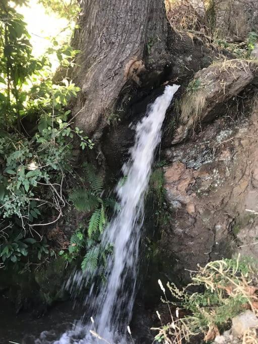La Casa Rural De Paco Y Ana Pitres エクステリア 写真