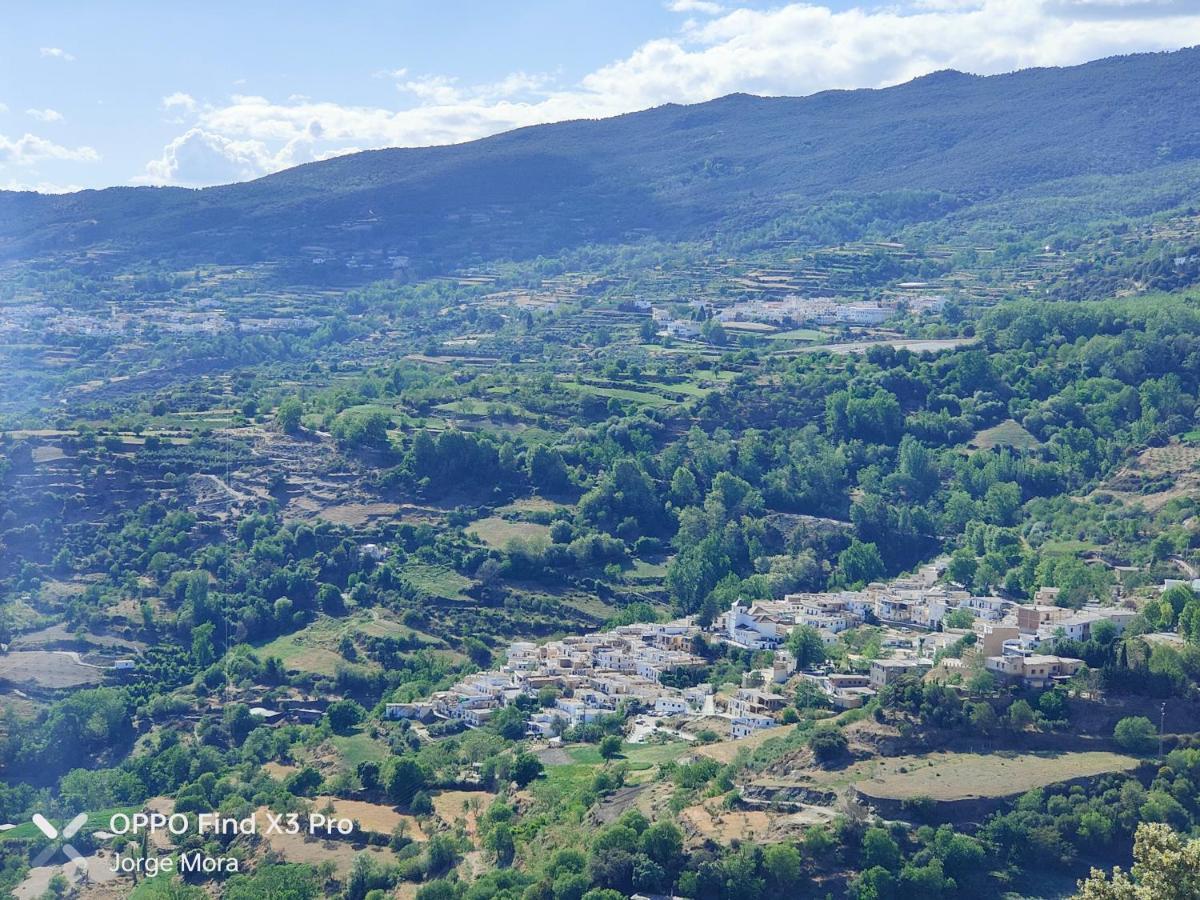 La Casa Rural De Paco Y Ana Pitres エクステリア 写真